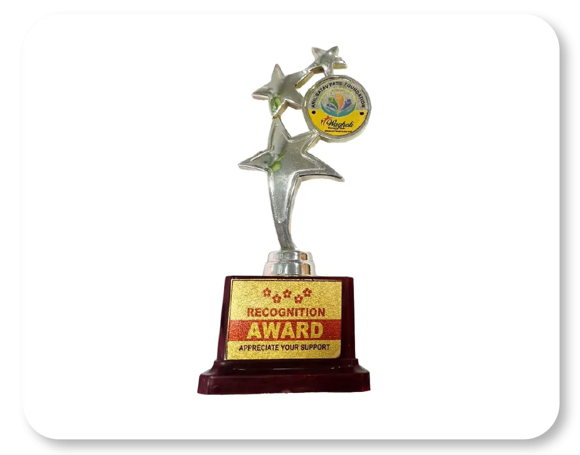 Recognition Award - Appreciate Your Support